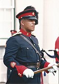 WO1 Herman Eve, RSM of the Royal Bermuda Regiment in 1992[219]