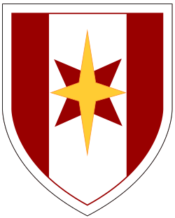 Shoulder Sleeve Insignia, 44th Medical Brigade