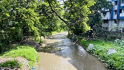 A picture of a muddy creek in Fatimanagar, Pune.