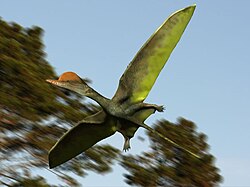 Art of a pterosaur