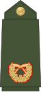 Brigadier general (Nepali: सहायक रथी, romanized: Sahaayak rathee) (Nepalese Army)[38]