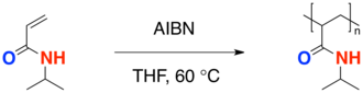 Homopolymerization of PNIPA