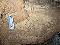 Pool spar inside a rimstone with 10cm scale