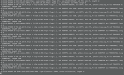 tcpdump console output