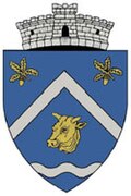 Coat of arms of Balotești