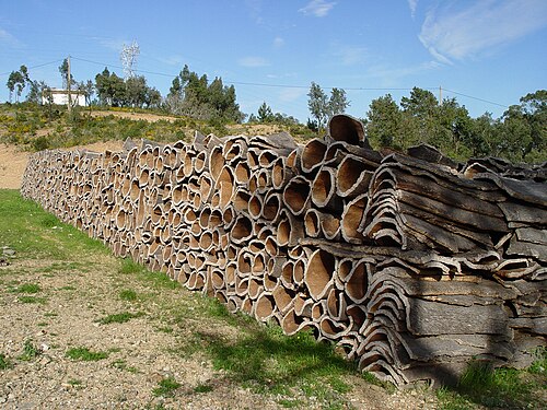 Bark storage