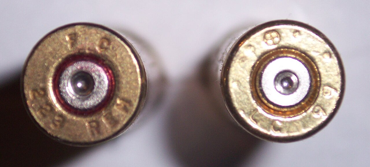 Two 223 Headstamps.jpg