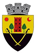 Coat of arms of Ciacova