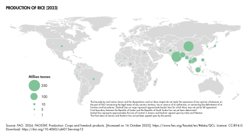 Production of rice[45]