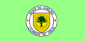 Flag of Camiling