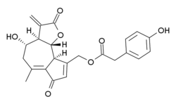 Stereo wireframe of a chiral lactucopicrin tautomer