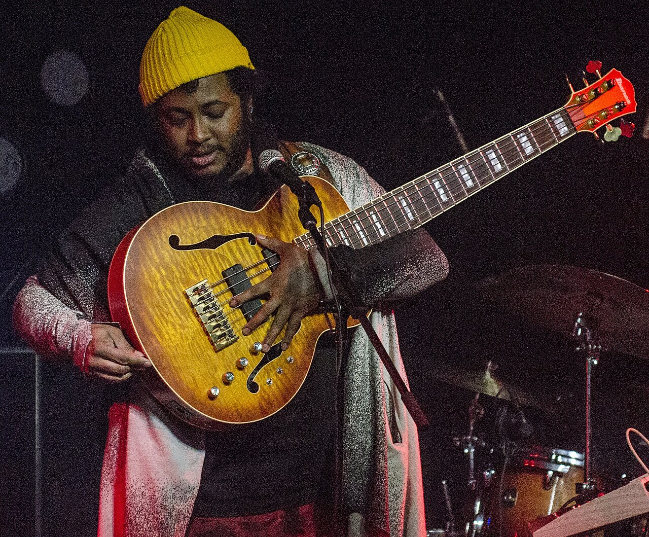 Thundercat (musician) 2015.jpg
