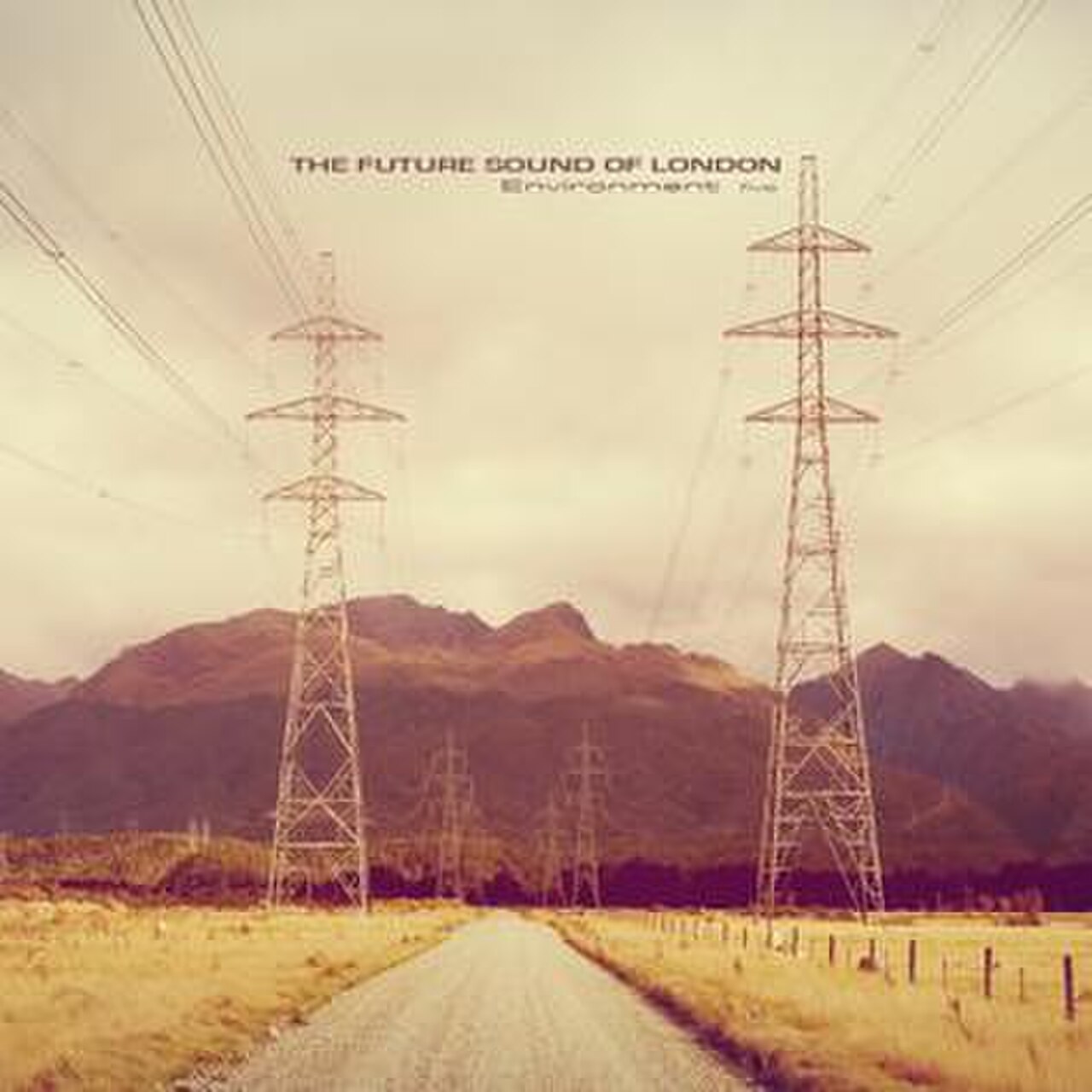 Environment Five, Future Sound of London Album Cover.jpg