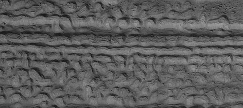 Close view of lineated valley fill (LVF) in valley, as seen by HiRISE under HiWish program. Linear valley flow is ice covered by debris. Lineated valley fill is generally considered to be and example of a glacier, as it involves the movement of ice.