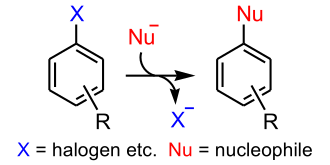 Aromatic nucleophilic substitution