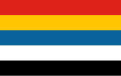 Flag of Constitutional Protection junta