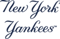 Wordmark logo