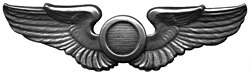Silver wings with the letter O