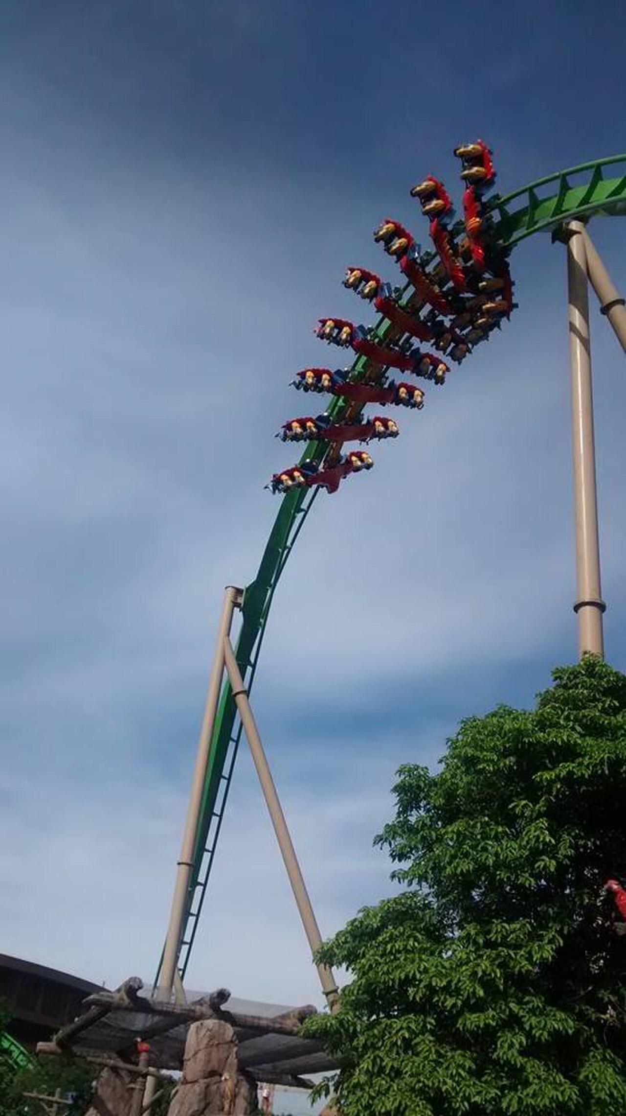 Parrot Roller coaster view 3.jpg