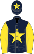Dark blue, yellow star and sleeves