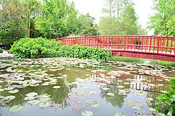 Photograph of pond and bridge in the Flower Garden of Isfahan
