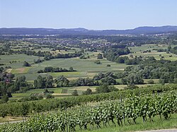 Countryside of Keltern