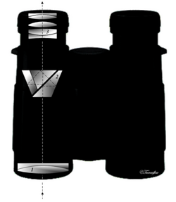 Binoculars diagram showing a Schmidt–Pechan roof prism design