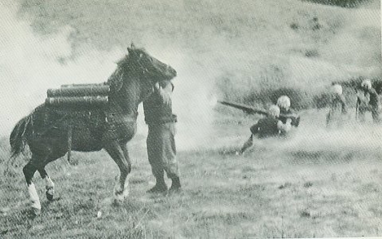 Reckless under fire.jpg
