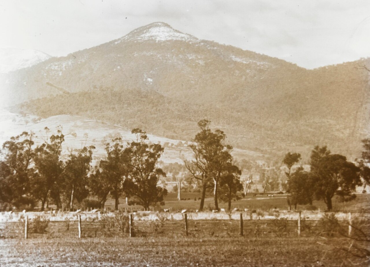 Mount Timbertop near Mansfield.jpg