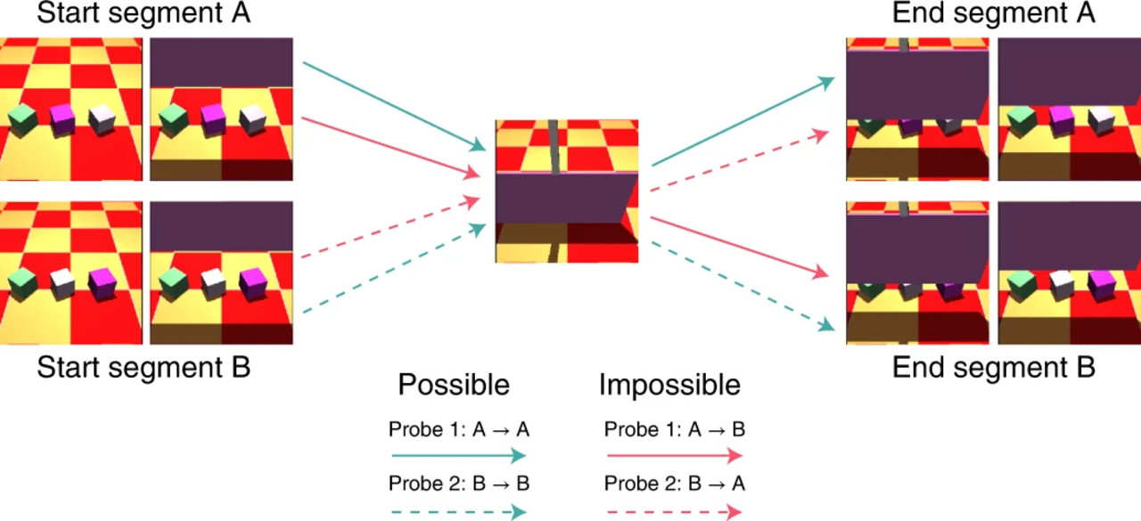 An AI learns basic physical principles.webp