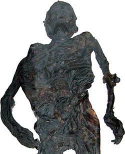Preserved body of the Haraldskær Woman displayed at the Cultural Museum in Vejle