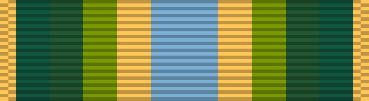 Armed Forces Service Medal ribbon.svg