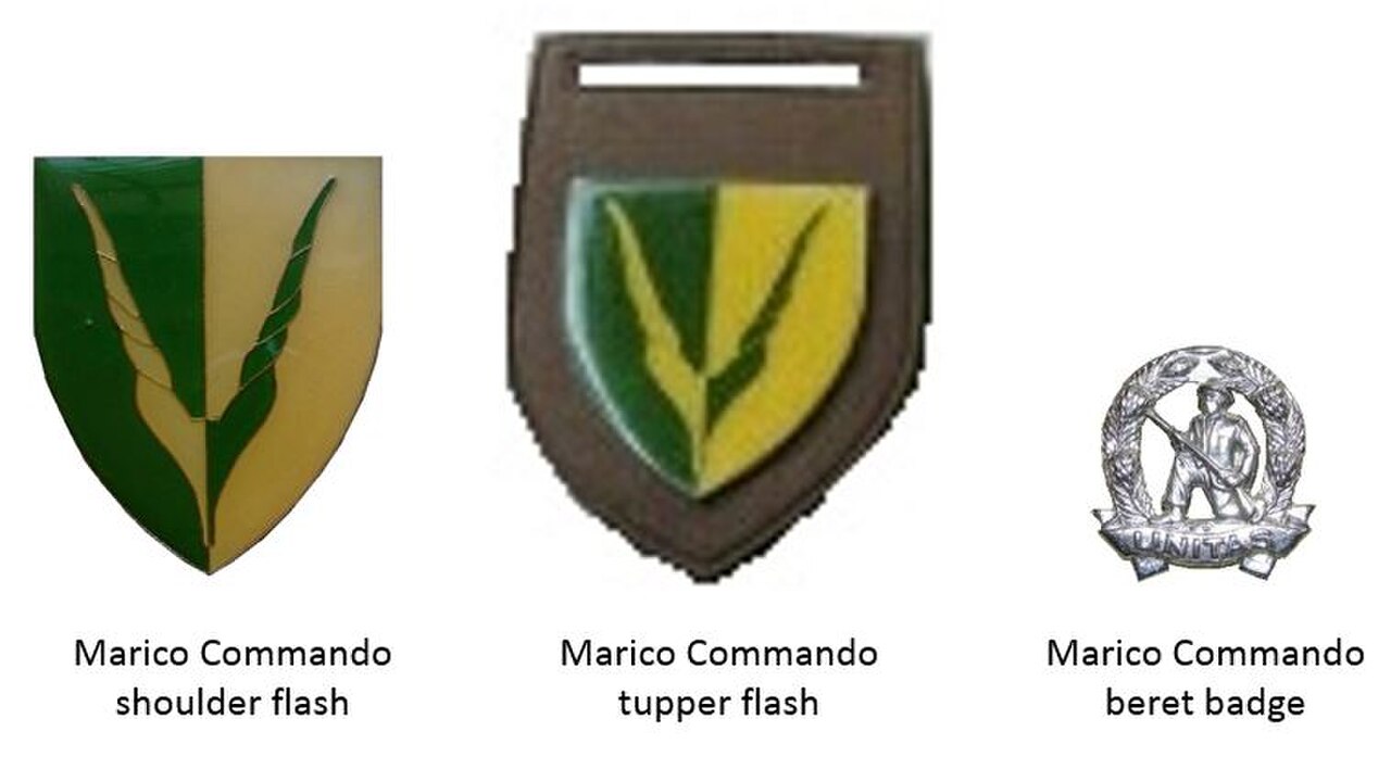 SADF era Marico Commando insignia.jpg