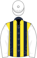 Dark Blue and Yellow stripes, White sleeves and cap