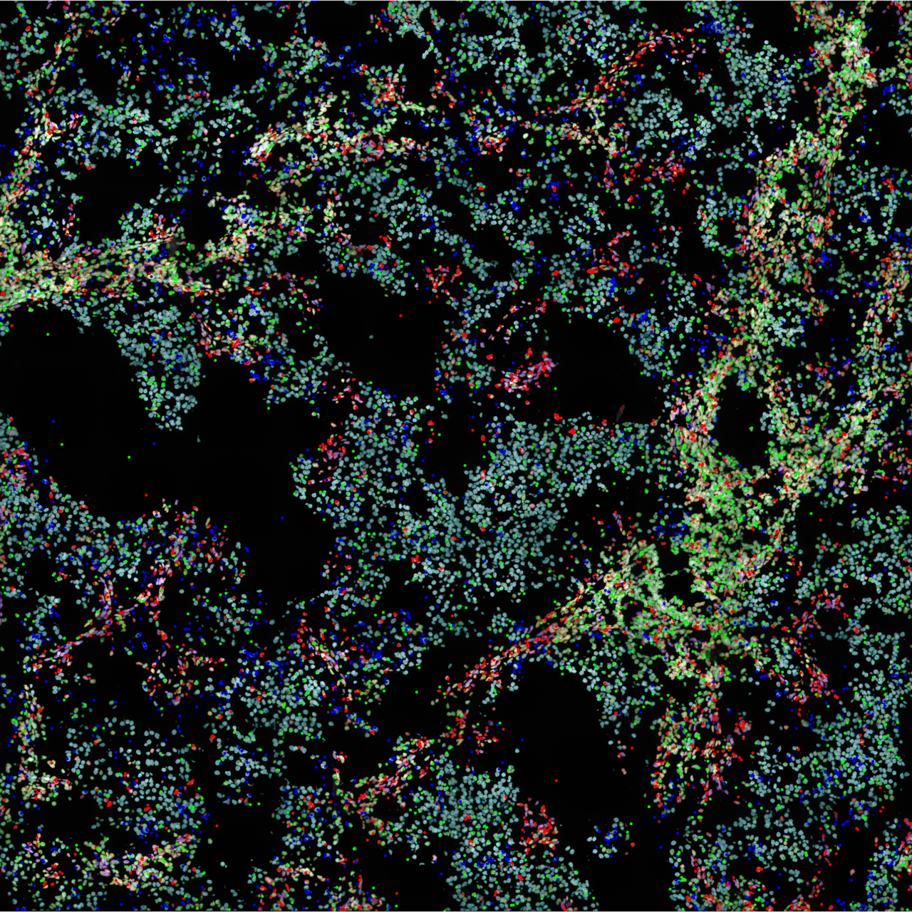 NFDI4BIOIMAGE Calendar Cover 2025.png