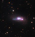 Blue compact dwarf galaxy ESO 338-4[19]