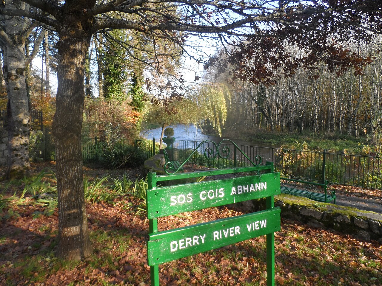 Derry River (Leinster).jpg