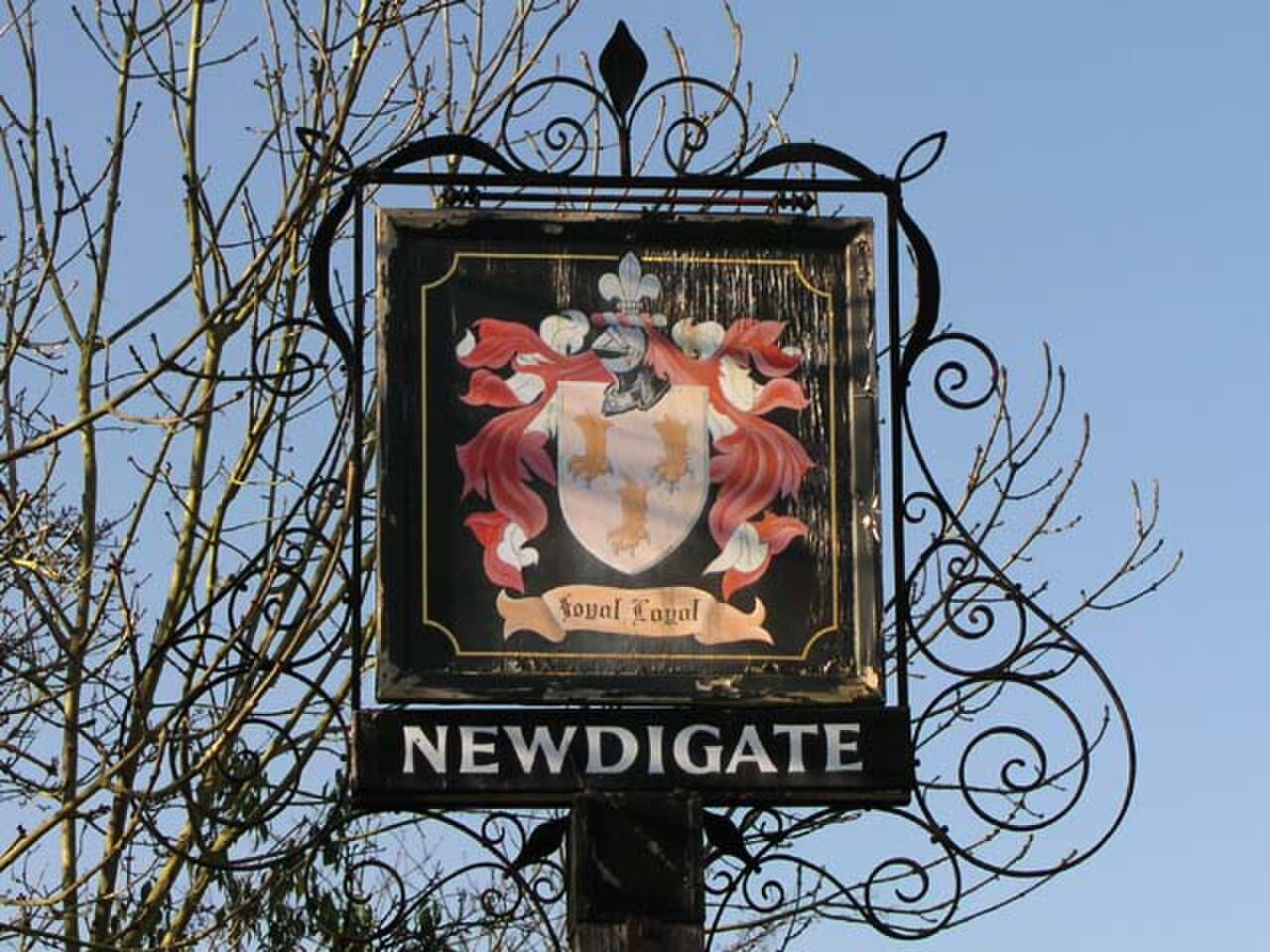 Newdigate village sign - geograph.org.uk - 688646.jpg