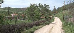 The village of Gojbulja, in the north of Kosovo