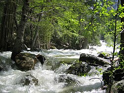 Turbulent whitewater at Happy Isles during a flood event.