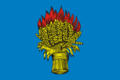 Flag of Belyovsky District