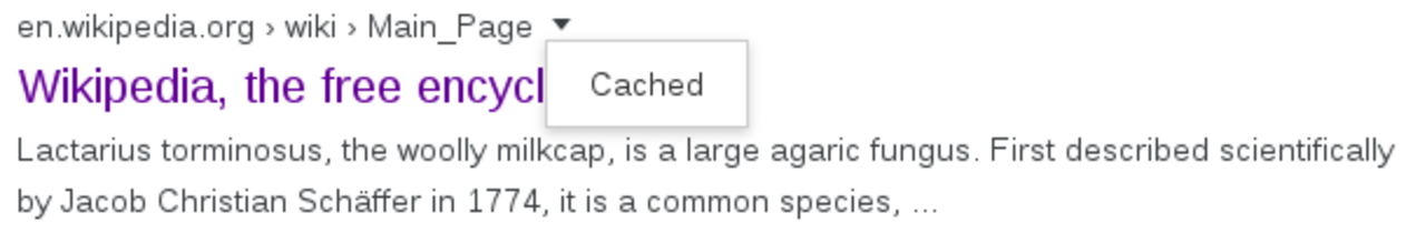 Google cache link for Wikipedia main page.png
