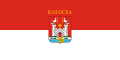 Flag of Kalocsa