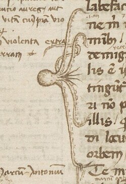 an octopus points at multiple lines with its tentacles