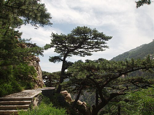 In Tai'an, Shandong
