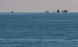 Dolphin in ocean with fishing vessels