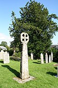 Scholars have proposed that the yew was important to Celtic peoples.[94] Celtic cross and yew tree, Laneast, Cornwall
