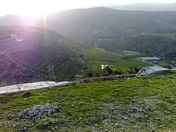 Farms in Mahis