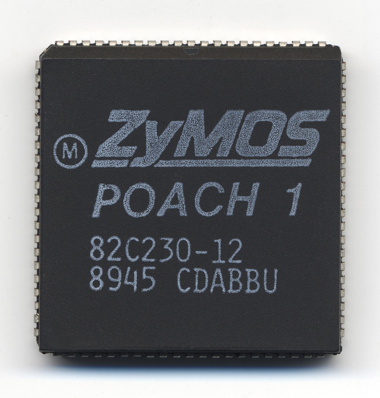 ZyMos Poach 1.jpg