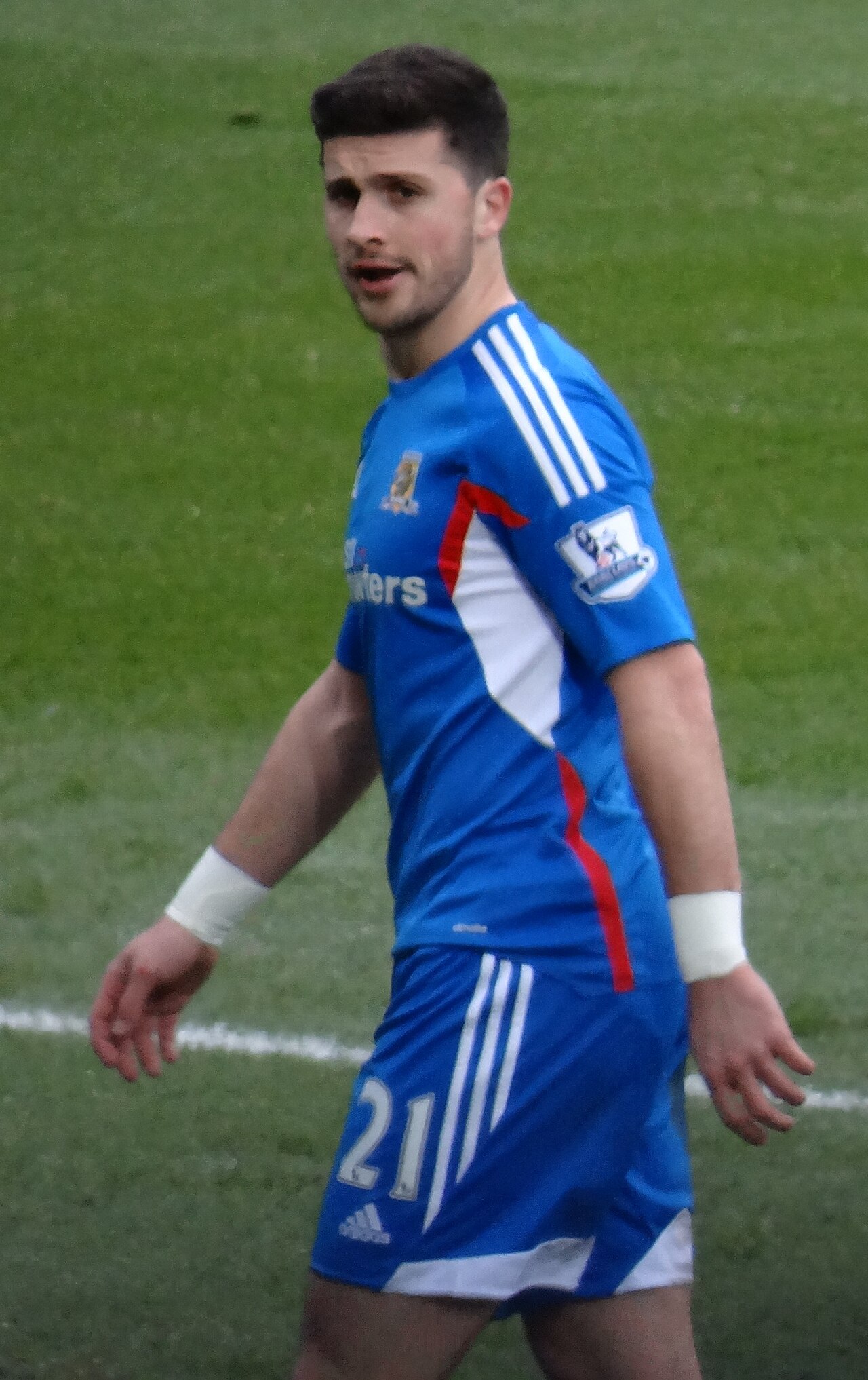 Shane Long vs Cardiff City cropped 2.jpg